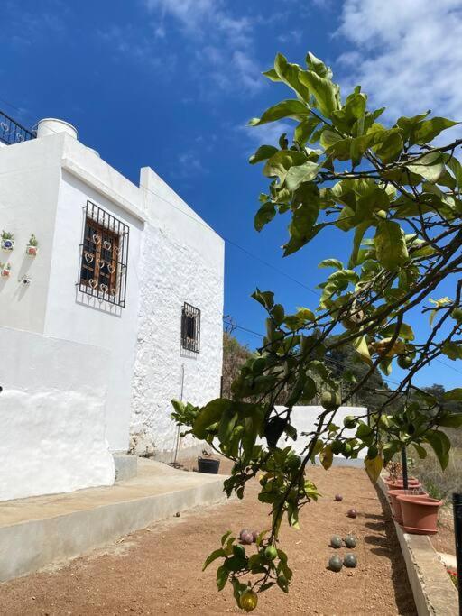 Casa Aya Villa Teror Exteriör bild